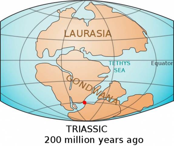 Pela estrutura e composição das rochas, os estudiosos deduziram que as Falkland 'nasceram' no antigo supercontinente de Gondwana, no leste da atual África do Sul